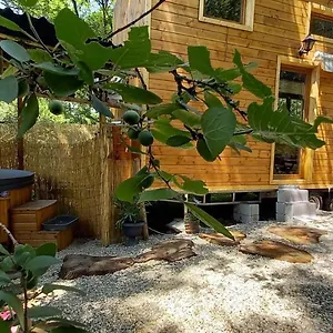 Mini Maison Tiny House Et Son Bain Nordique Hébergement de vacances